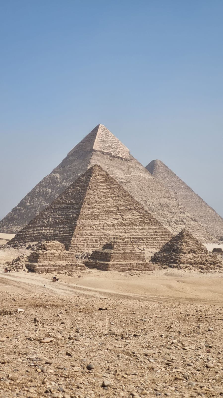 القاهرة - 8 أيام