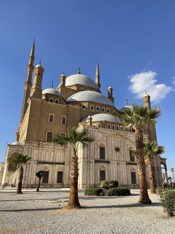 القاهرة - 8 أيام